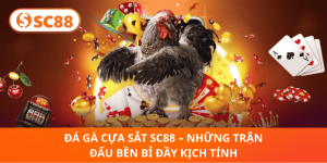 Đá Gà Cựa Sắt SC88 – Trận Đấu Kịch Tính, Hồi Hộp Tột Đỉnh